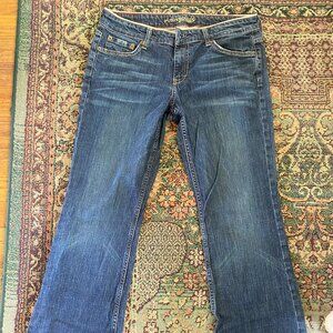 Vintage American Eagle Hipster Jeans Size 12 Reg Flare Y2K Dark Wash Low Rise